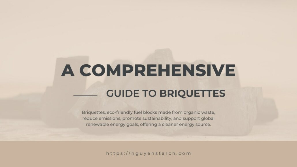A Comprehensive Guide to Briquettes