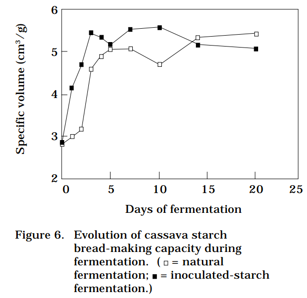 Evolution of cassava starch bread-making capacity during fermentation.