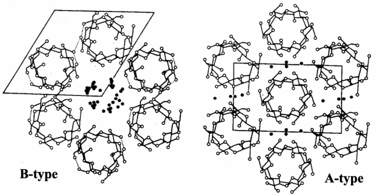 Starch Principles - NguyenStarch