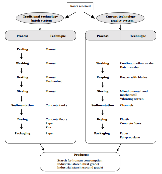 Figure 1. Differences in traditional and current technologies for cassava starch extraction, Manabí, Ecuador. Current technologies include innovations introduced from Colombia and Brazil.