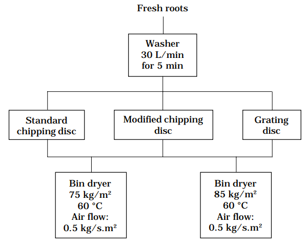 Figure 1. Procedures used in cassava-chipping trials