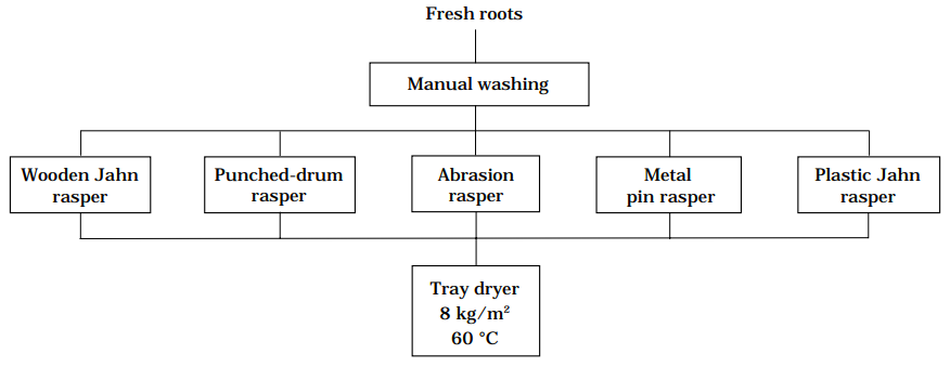 Figure 2. Procedures used in cassava-rasping trials