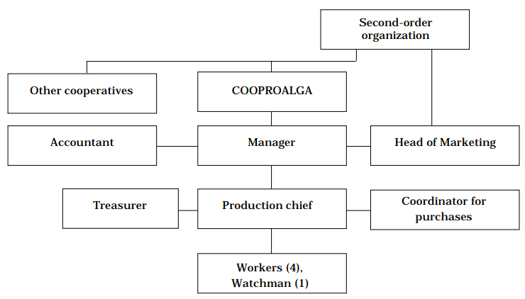 Figure 2. The organization of the pilot cassava flour plant set up in Chinú, northern Colombia.