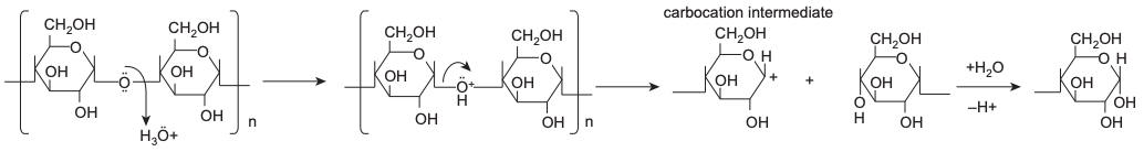 Mechanism of acid hydrolysis