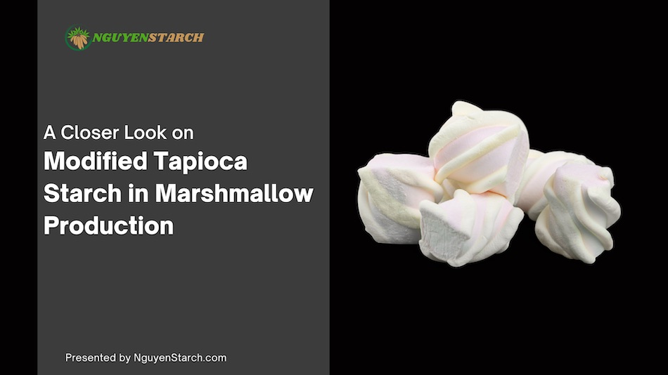 Modified Tapioca Starch in Marshmallow Production - 1