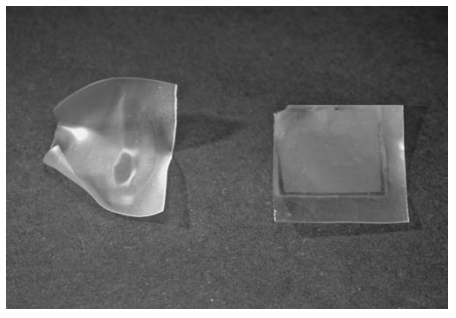 Photograph of unmodified (left) and 1-butene plasma-modified (right) corn starch films after contact with a drop of water.
