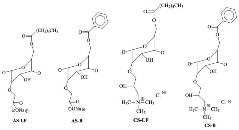 Introduction To Nanocomposites Based On Modified Starch Nguyenstarch 3241