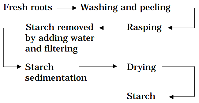 starch extraction