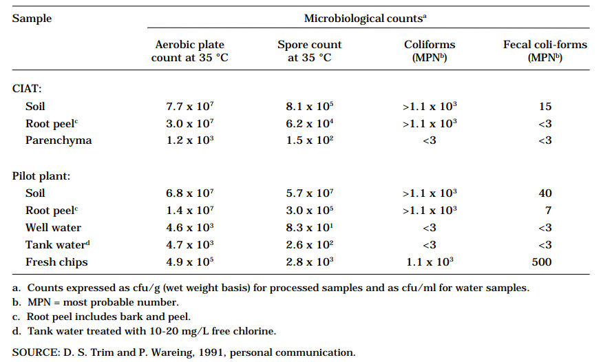 Table 6. Microbiological quality of processed samples from pilot plant and CIAT trials, November 1991